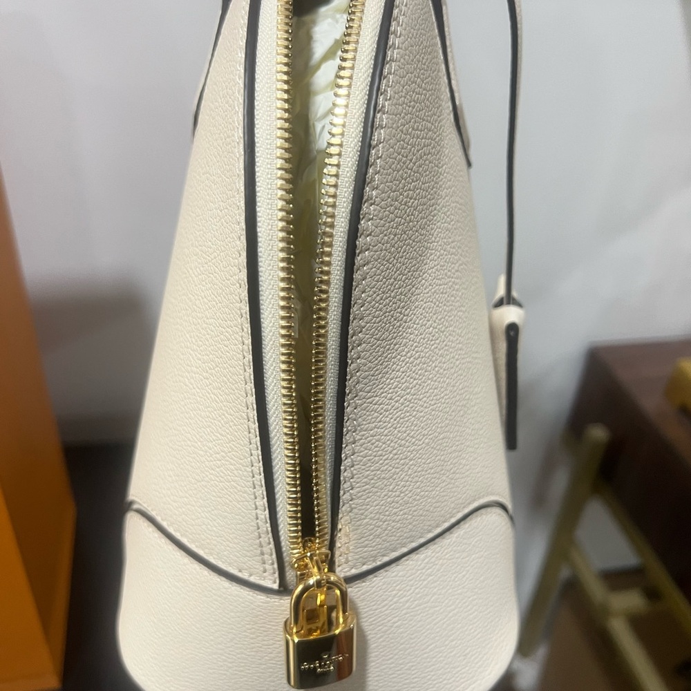 Louis Vuitton Alma PM SILHOUETTE NEW with tags Ready for spring ❌❌❌SOLD PARTY - Picture 8 of 13
